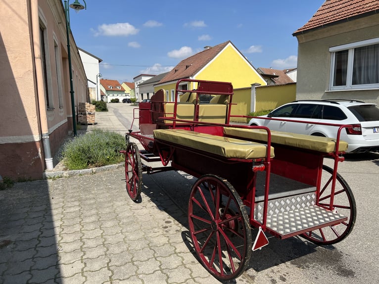 Wagonette / Kutsche Ein- und Zweispännig