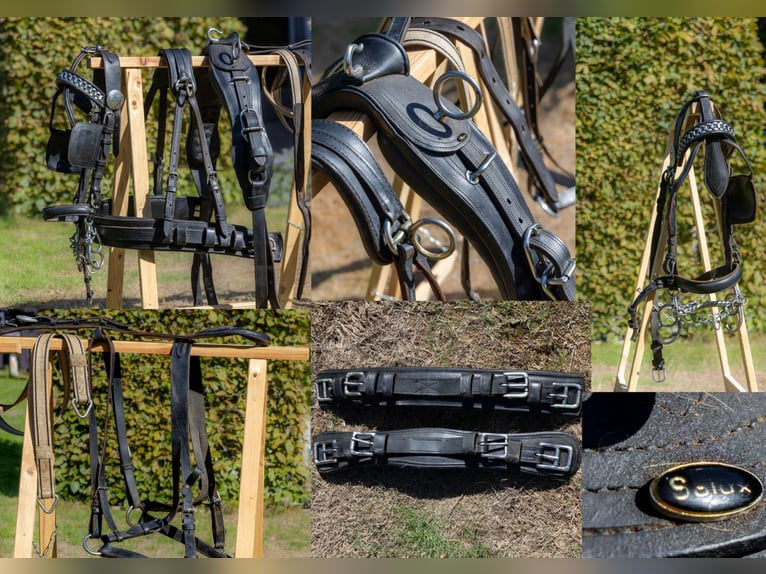 Calèche polyvalente – pour 1 ou 2 chevaux – avec accessoires inclus !