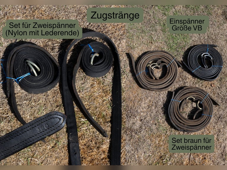Calèche polyvalente – pour 1 ou 2 chevaux – avec accessoires inclus !