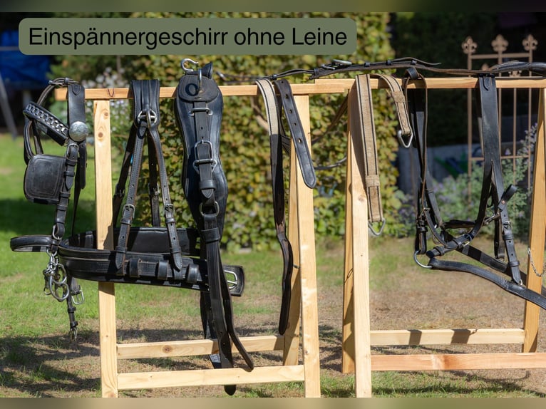 Calèche polyvalente – pour 1 ou 2 chevaux – avec accessoires inclus !