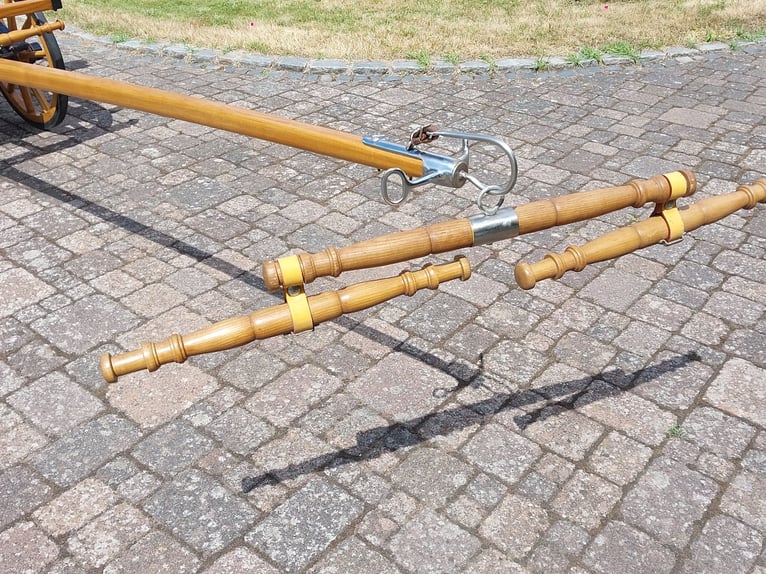 Carrosse pour poney, attelage de chasse hongrois, pièce de collection