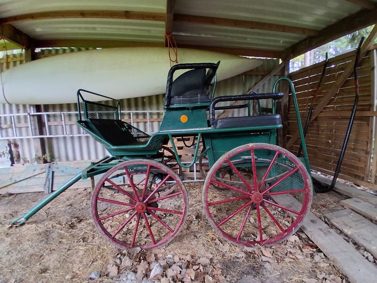 Carrosse, voiture de marathon, attelé simple et double.