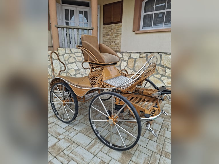 Dominiak pony pair marathon 