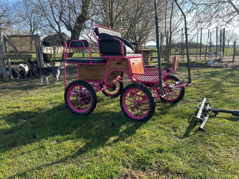 petite voiture pour poney