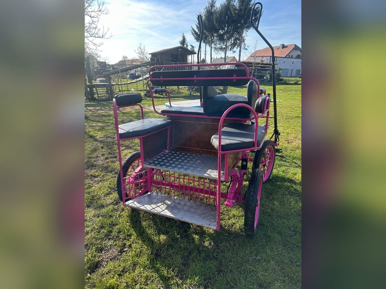 petite voiture pour poney