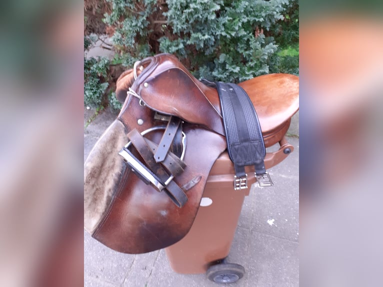 Équipement complet pour petit cheval
