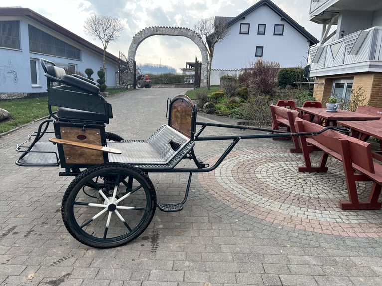 Excellent trail horse from the brand KUBE’s Kutschenparadies