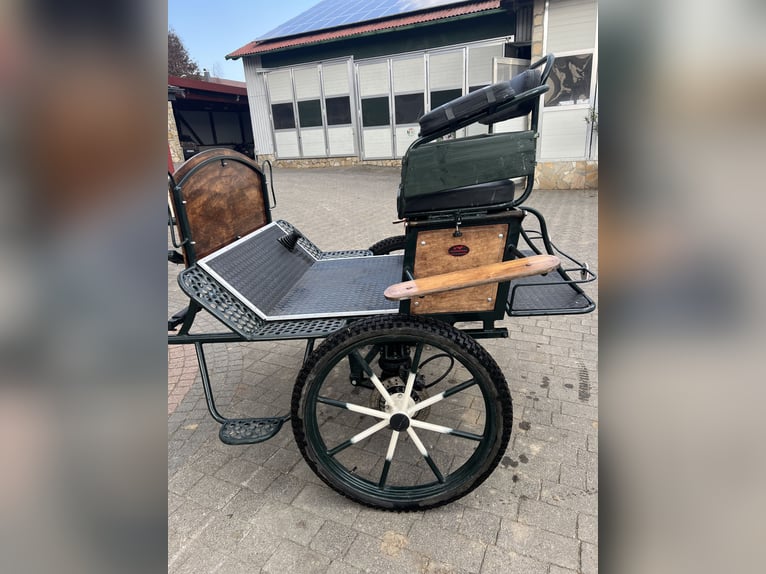 Excellent trail horse from the brand KUBE’s Kutschenparadies