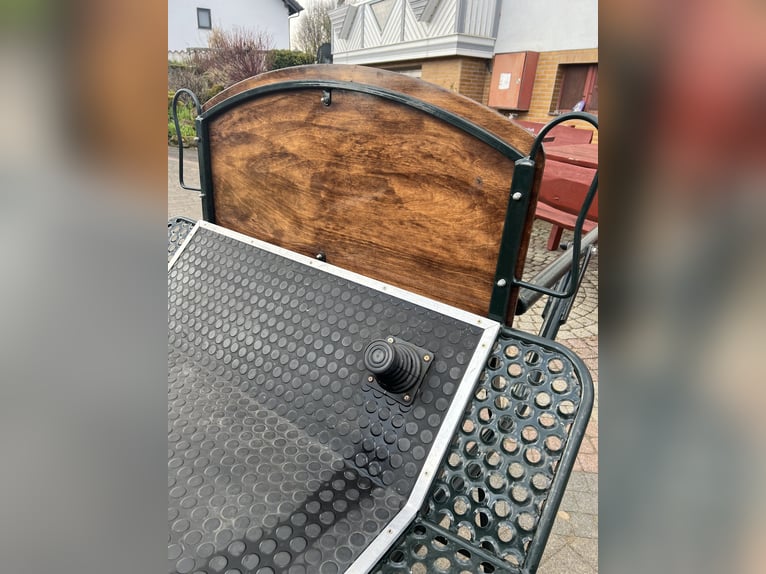 Excellent trail horse from the brand KUBE’s Kutschenparadies