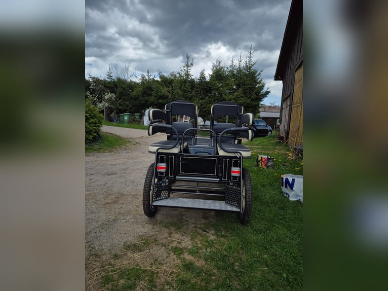 Calèche, calèche de marathon, voiture d'école d'attelage, calèche pour poney, voiture hippomobile