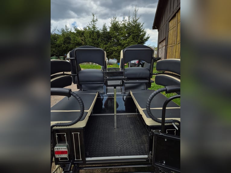 Calèche, calèche de marathon, voiture d'école d'attelage, calèche pour poney, voiture hippomobile