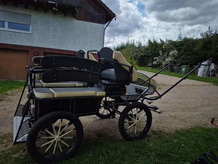 Calèche, calèche de marathon, voiture d'école d'attelage, calèche pour poney, voiture hippomobile
