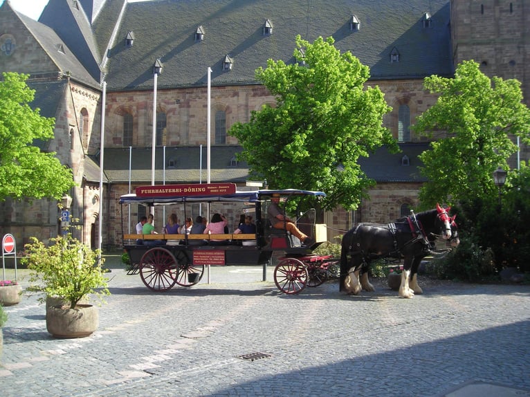 Schicker Planwagen mit Kutschenrädern