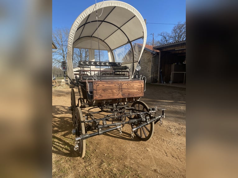 Sehr schöne Kutsche im Stil von einem Planwagen zu verkaufen / calèche