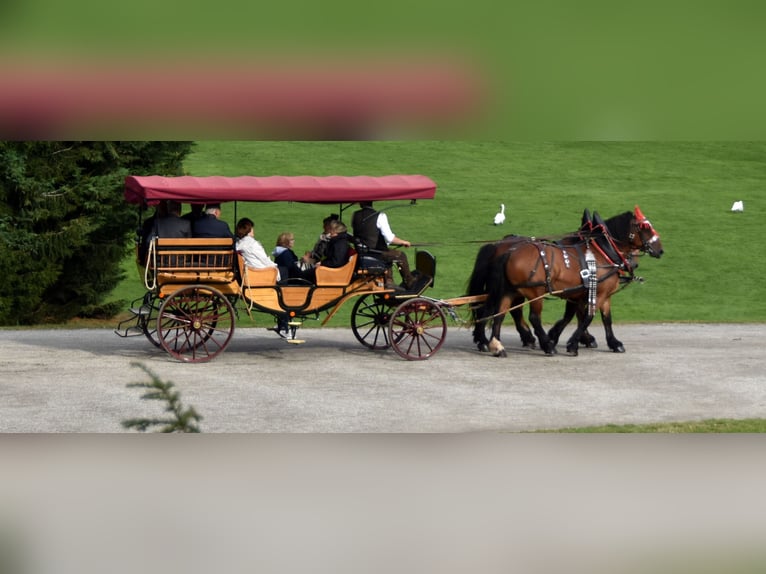 Voiture de promenade / Voiture de pique-nique