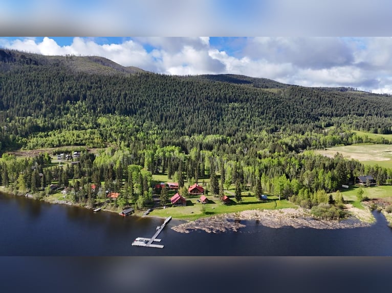 10 hectáreas de oasis de vida y propiedad resort en una ubicación soñada. Canadá - Columbia Británic