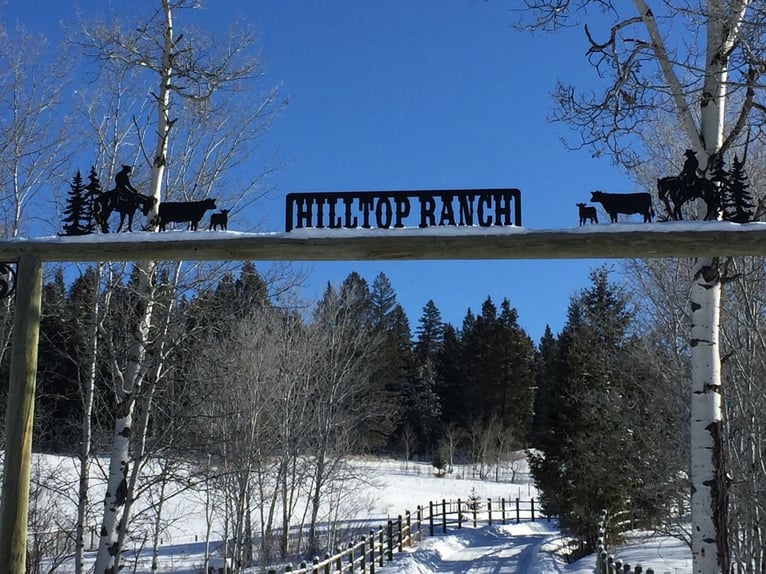 32 hectáreas de rancho en la cima de una colina. Paraíso familiar y ecuestre en una ubicación espect