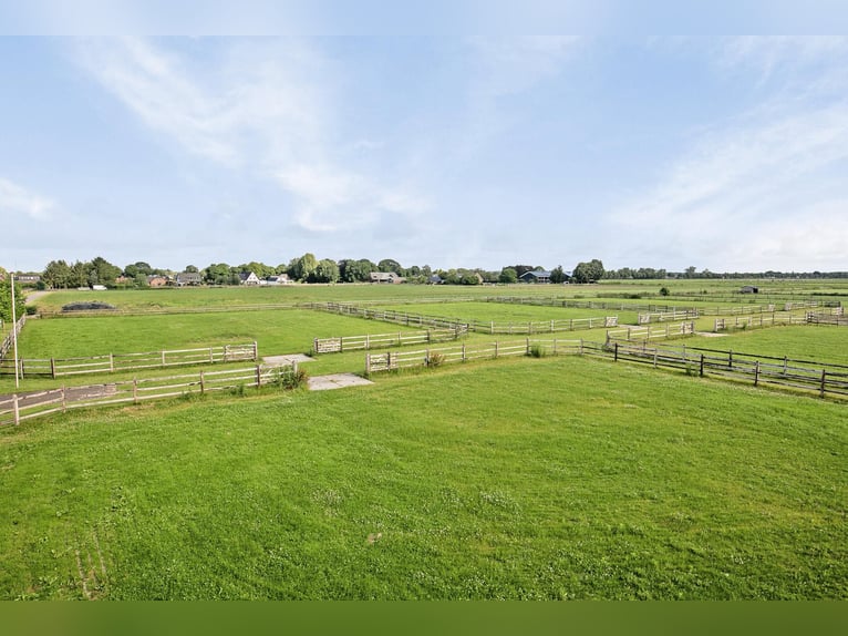 A Stunning Equestrian Estate with Endless Possibilities for the Professional Horse Enthusiast!