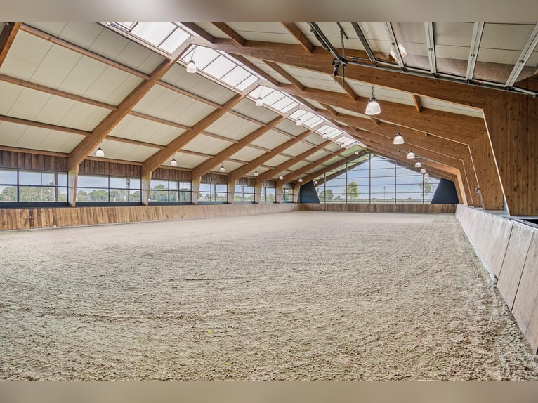 A Stunning Equestrian Estate with Endless Possibilities for the Professional Horse Enthusiast!