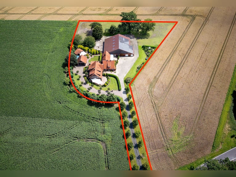 Adecuada para caballos y con carácter representativo: finca con 2 viviendas y un amplio conjunto de 