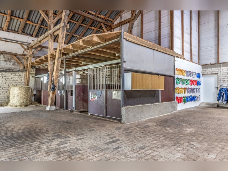 Adecuada para caballos y con carácter representativo: finca con 2 viviendas y un amplio conjunto de 