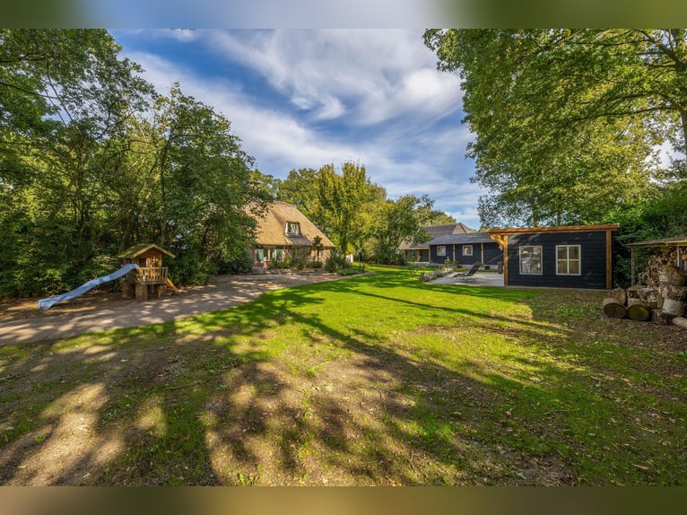 Amazing location for horselovers