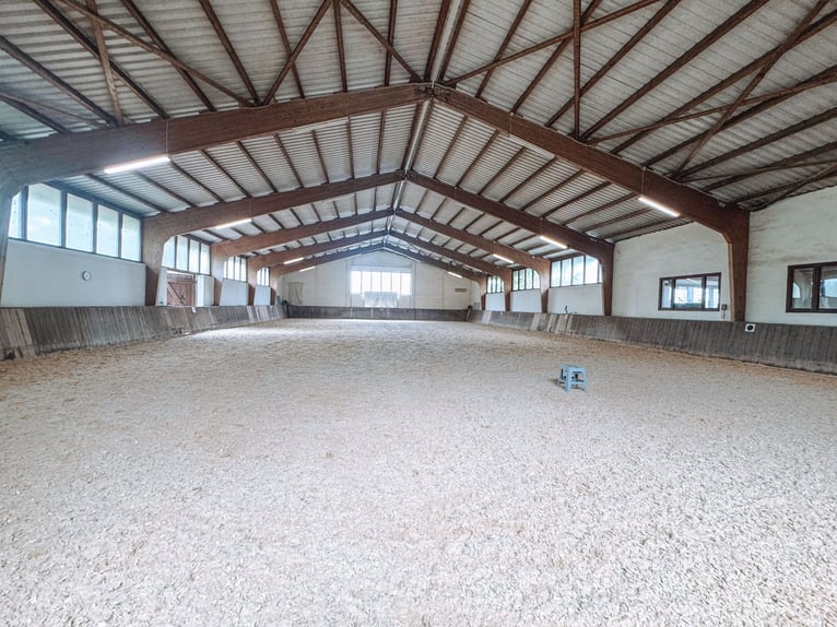 Amplia finca ecuestre con una vivienda excepcional, cinco unidades residenciales, pista cubierta y m