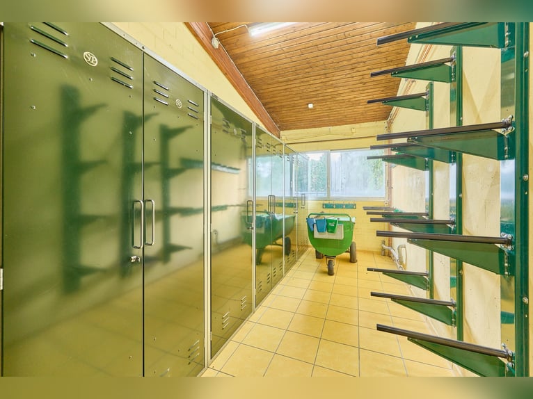 ¡Antiguo castillo de agua con instalaciones ecuestres bien cuidadas en Rheinhessen!