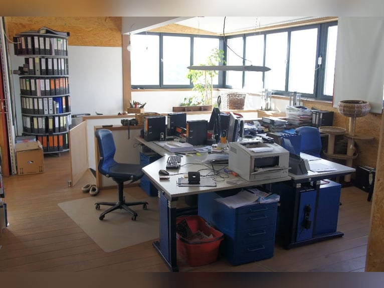 Apartamento de lujo de arquitecto con instalaciones ecuestres MEA: pista cubierta, pista de salto y 