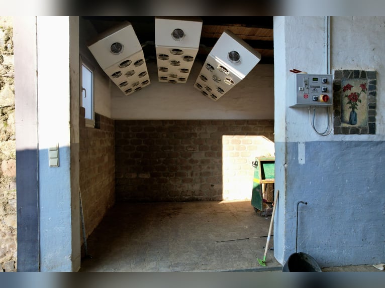 Atractiva instalación ecuestre entre Montabaur y Limburg