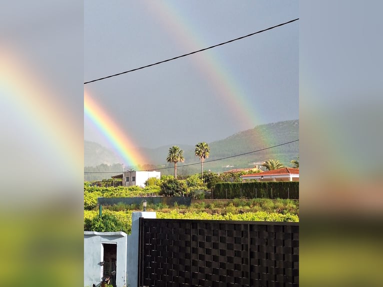 BEAUTIFUL COUNTRYHOUSE FOR LIVING WITH HORSES - WUNDERSCHÖNES LANDHAUS ZUR PRIVATEN PFERDEHALTUNG