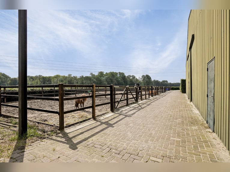 Beautifully finished equestrian property on a unique location with unobstructed view!