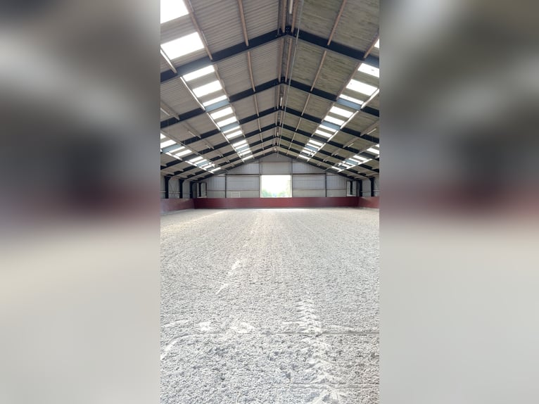 Casa de campo con alojamiento para caballos, incluyendo pista cubierta, pista al aire libre y 11 est