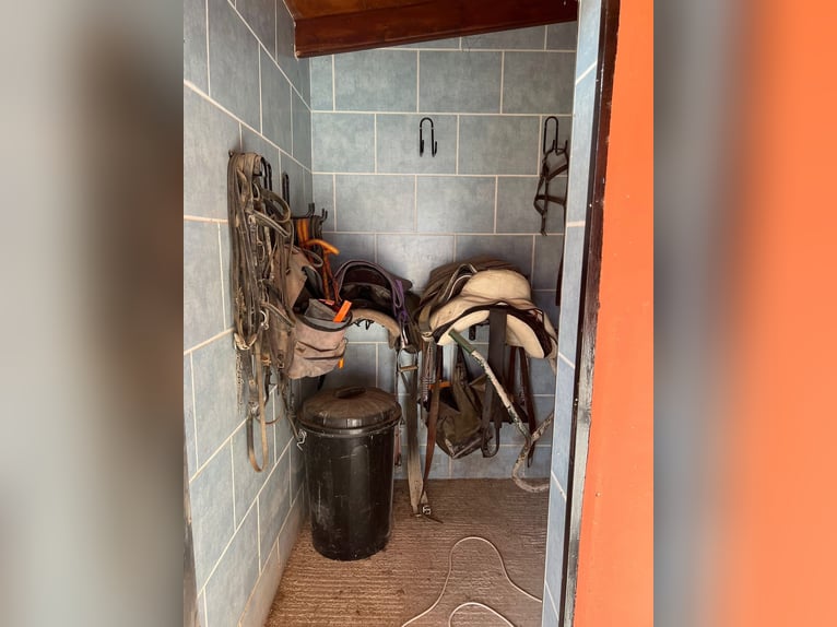 Casa de campo de lujo con establos privados - Costa Blanca / Casa de campo lujosa con establos priva