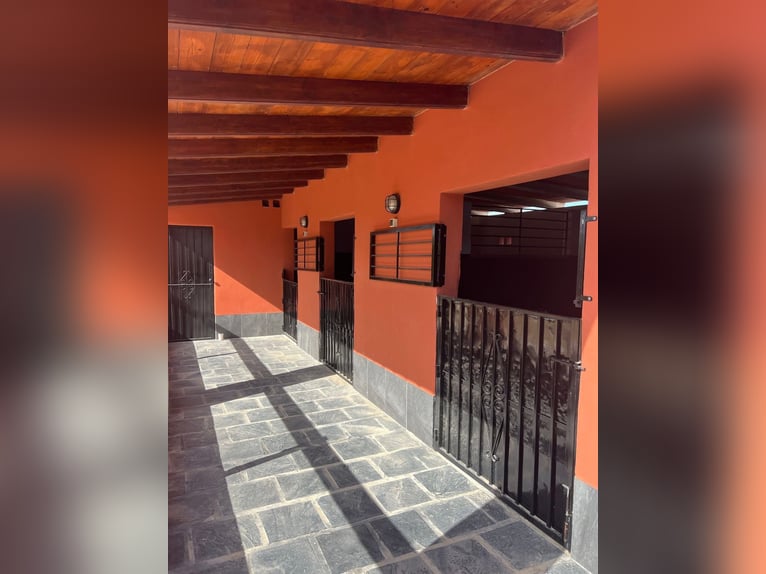 Casa de campo de lujo con establos privados - Costa Blanca / Casa de campo lujosa con establos priva