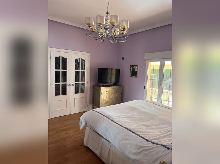 Casa de campo de lujo con establos privados - Costa Blanca / Casa de campo lujosa con establos priva