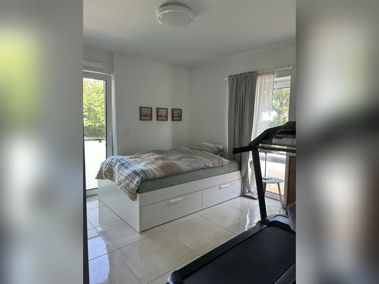 Casa moderna con instalaciones ecuestres, establos y vivienda con caballos