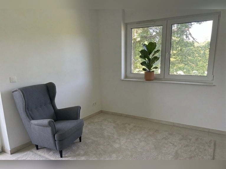 Casa moderna con instalaciones ecuestres, establos y vivienda con caballos