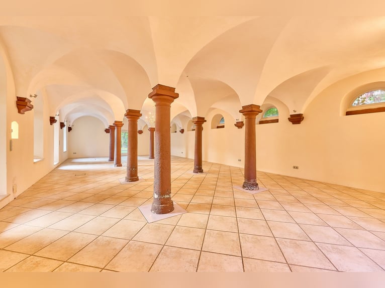 ¡Castillo en venta en Rheinhessen con instalaciones ecuestres propias y espacio para eventos!