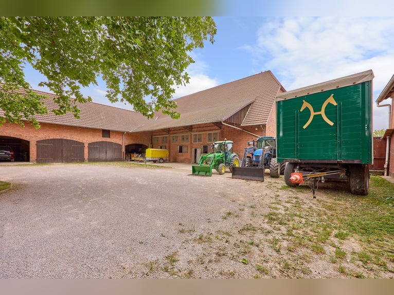 Centro ecuestre cerca de Hannover: 29 boxes para caballos, instalaciones profesionales para entrenam