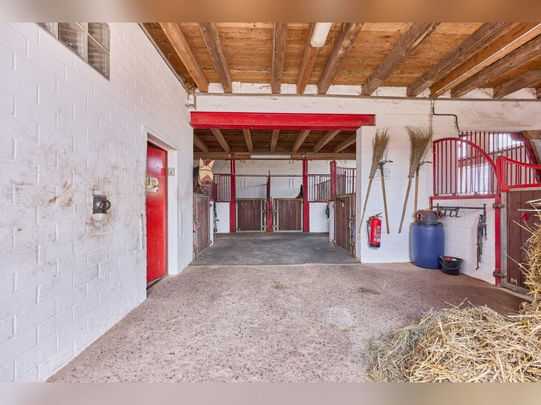 Centro ecuestre cerca de Hannover: 29 boxes para caballos, instalaciones profesionales para entrenam