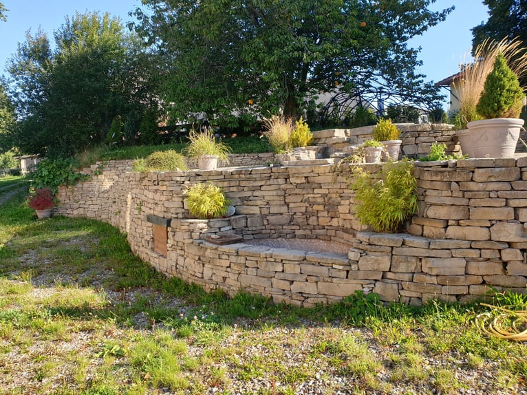 Centro ecuestre en Harz, en Bad Sachsa – Gran finca de campo con pista cubierta y ubicación aislada.