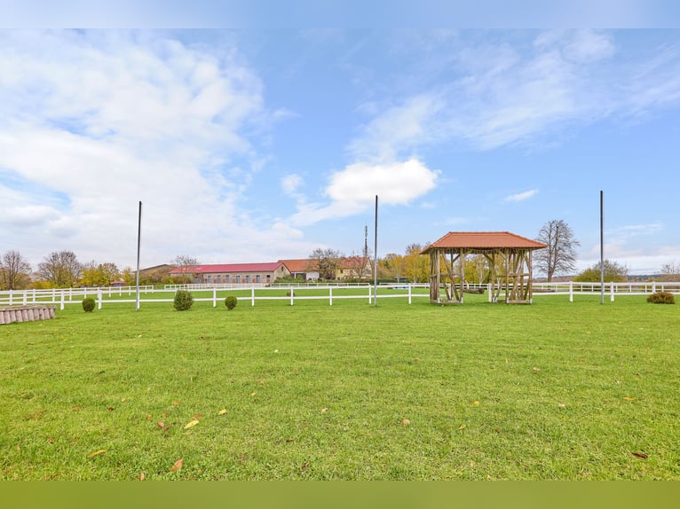 Centro ecuestre en Hesse, en el distrito de Main-Kinzig – propiedad aislada con indoor de equitación