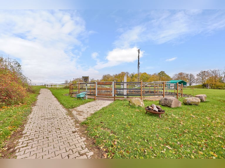 Centro ecuestre en Hesse, en el distrito de Main-Kinzig – propiedad aislada con indoor de equitación