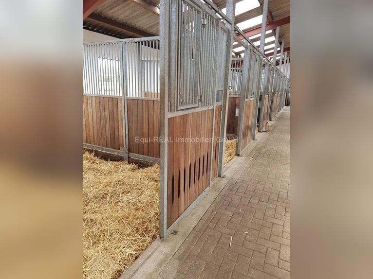 Centro ecuestre en un entorno idílico en Ammerland