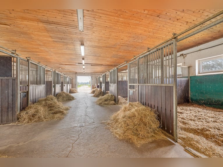 Centro ecuestre en venta cerca de Berlín – capacidad para casi 100 caballos en el distrito de Havell