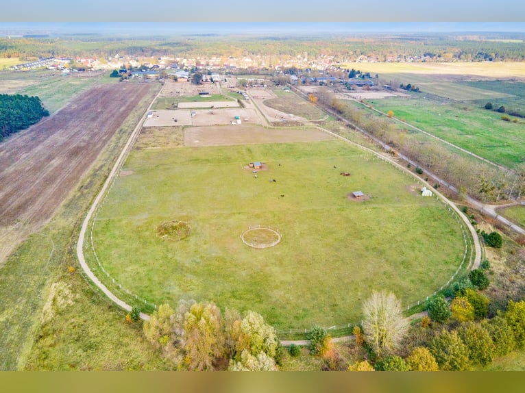 Centro ecuestre en venta cerca de Berlín – capacidad para casi 100 caballos en el distrito de Havell