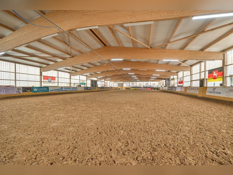 Centro ecuestre en venta cerca de Berlín – capacidad para casi 100 caballos en el distrito de Havell