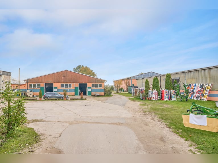 Centro ecuestre en venta cerca de Berlín – capacidad para casi 100 caballos en el distrito de Havell