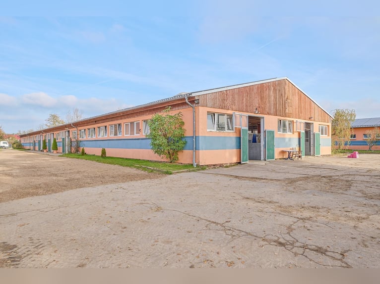 Centro ecuestre en venta cerca de Berlín – capacidad para casi 100 caballos en el distrito de Havell